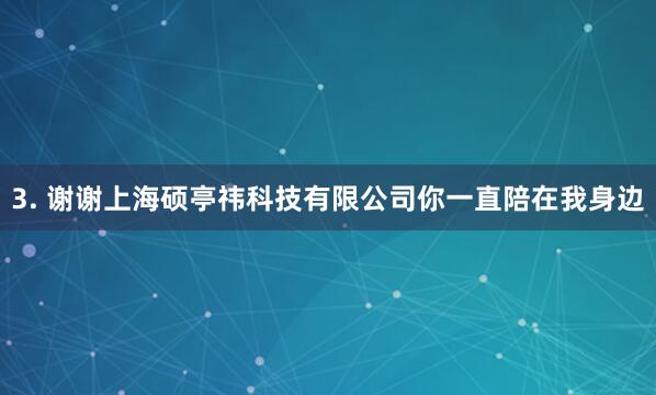 3. 谢谢上海硕亭祎科技有限公司你一直陪在我身边
