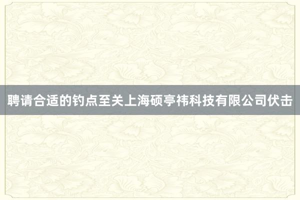 聘请合适的钓点至关上海硕亭祎科技有限公司伏击