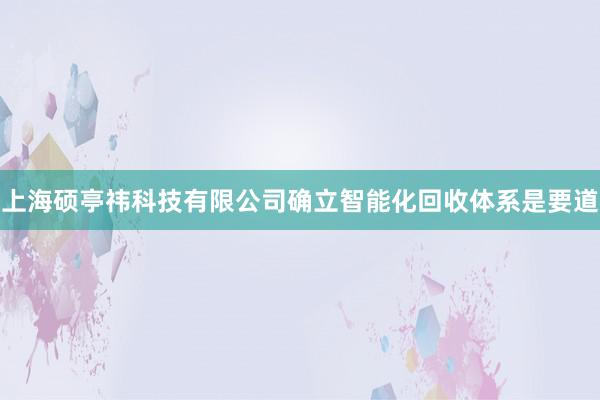 上海硕亭祎科技有限公司确立智能化回收体系是要道